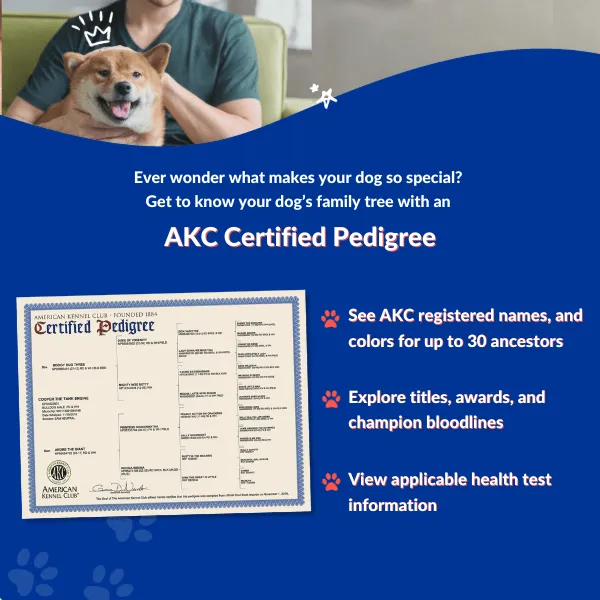 AKC Certified Pedigrees