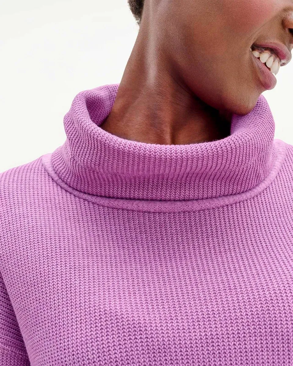 Alpine Turtleneck