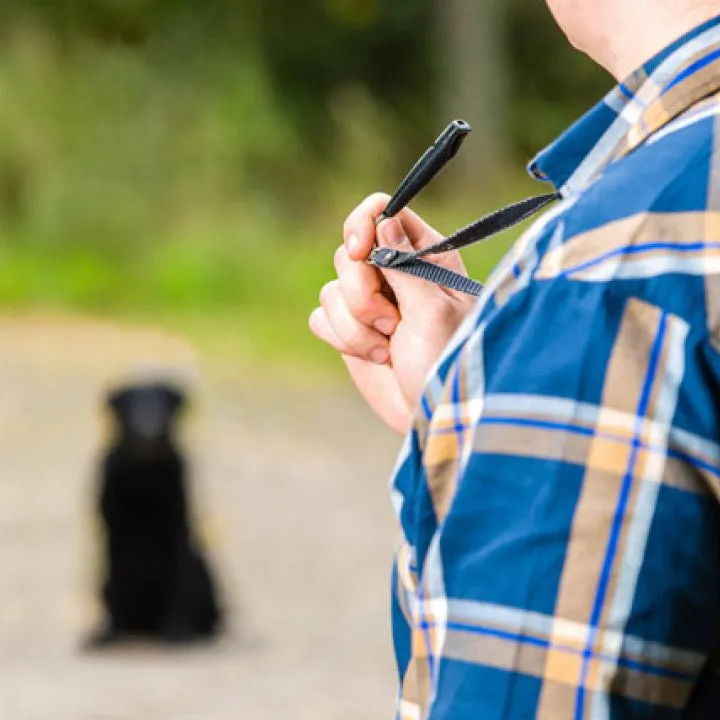 Dog bark whistle & Lanyard for Dog Recall - Pet Training Kit