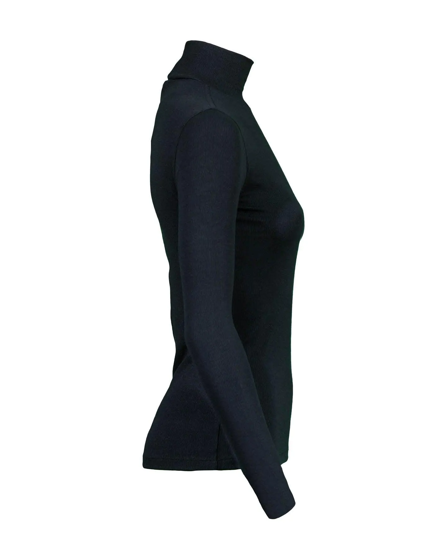 Frame Rib Turtleneck