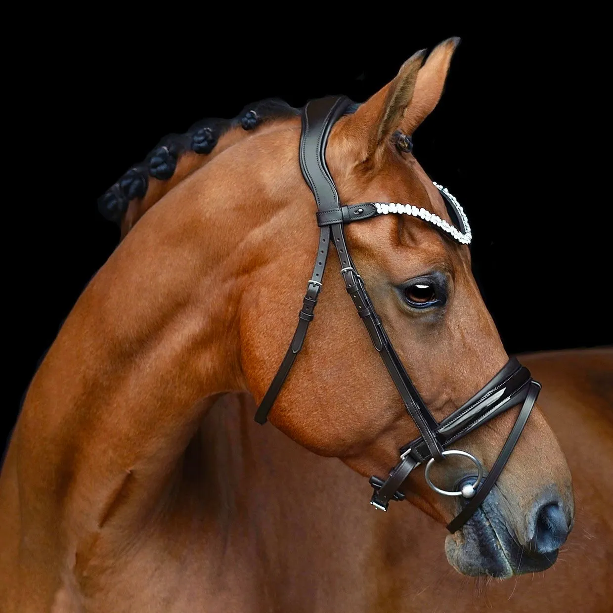 SD Romanov Bridle