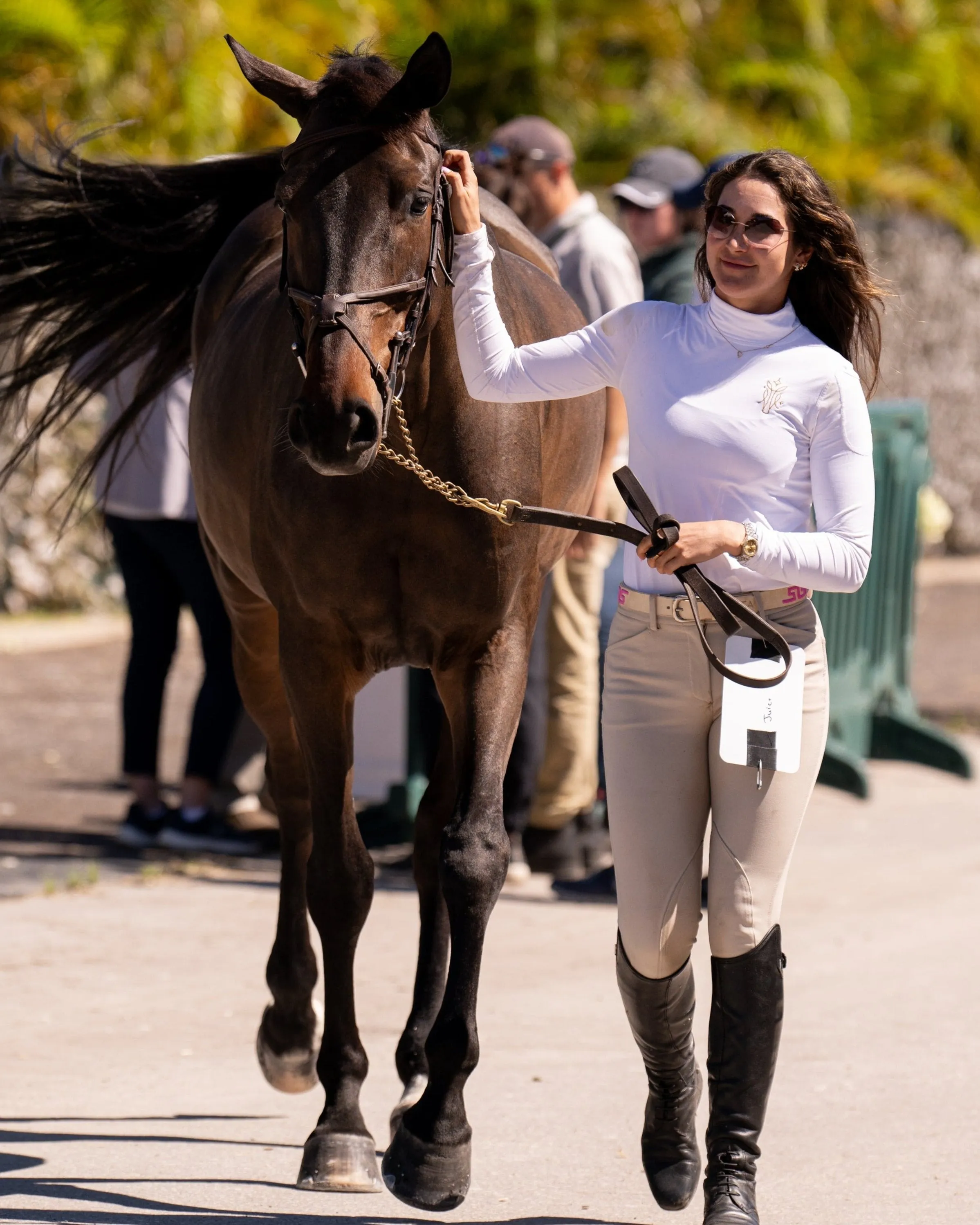 WOMEN'S TURTLENECK (2013)